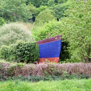 Coque de bateau perdue dans un bouquet d'arbustes - France  - collection de photos clin d'oeil, catégorie paysages